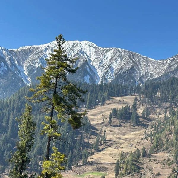 Nepal Free Climbing Pek