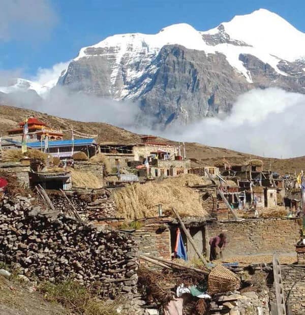Wilderness Trekking Experience