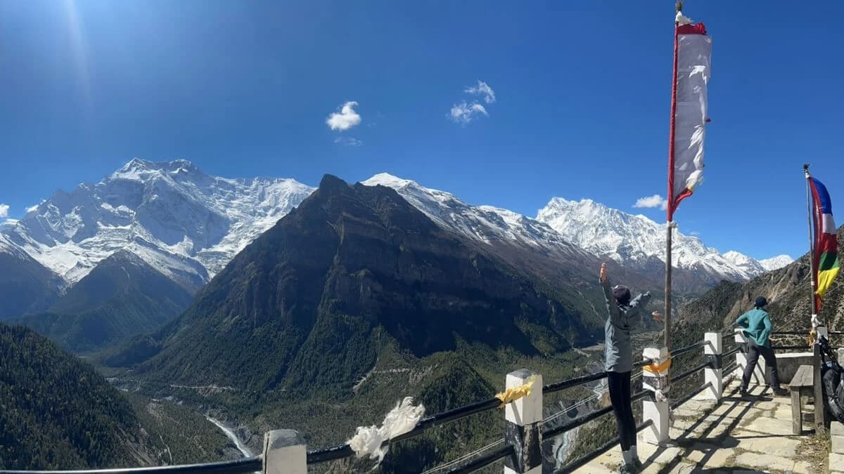 Embracing the Natural View