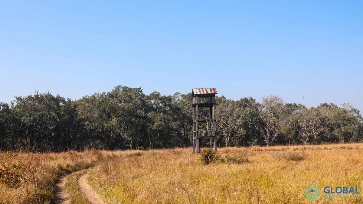 Jeep Safari in Bardia