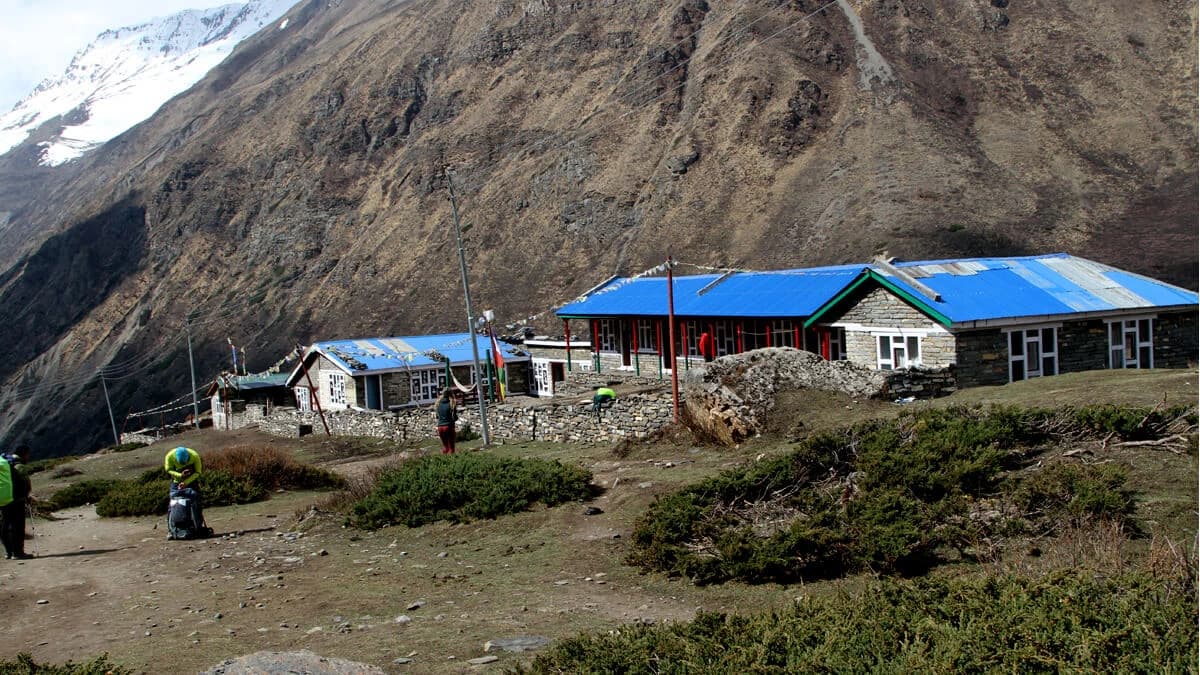 The wilderness Trekking