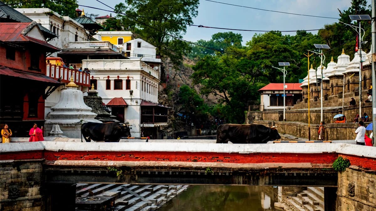 Pashupati Nath Temple Courtyard