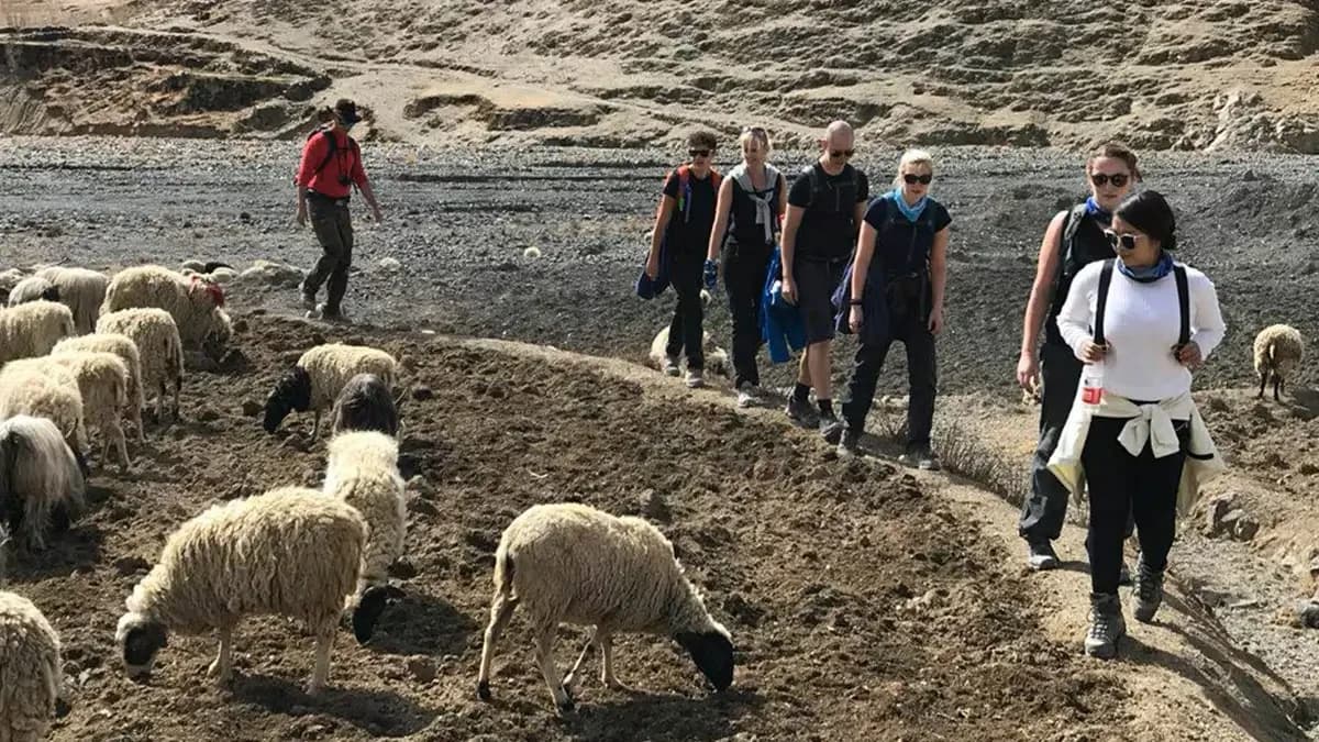 Tibet Trekking