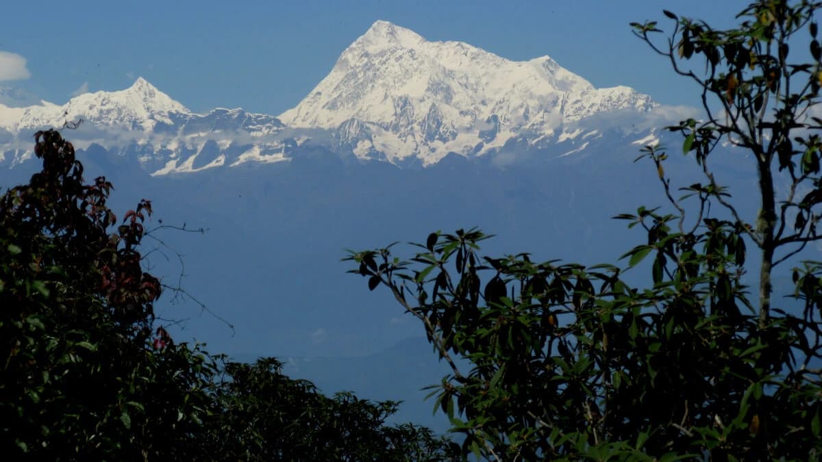 Trekking into the Wild