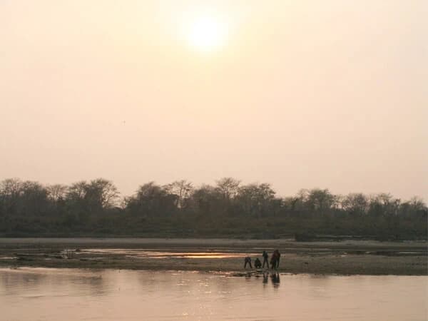 Chitwan Jungle Safari
