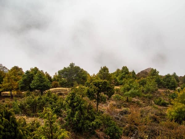 Trek To Solu Salleri